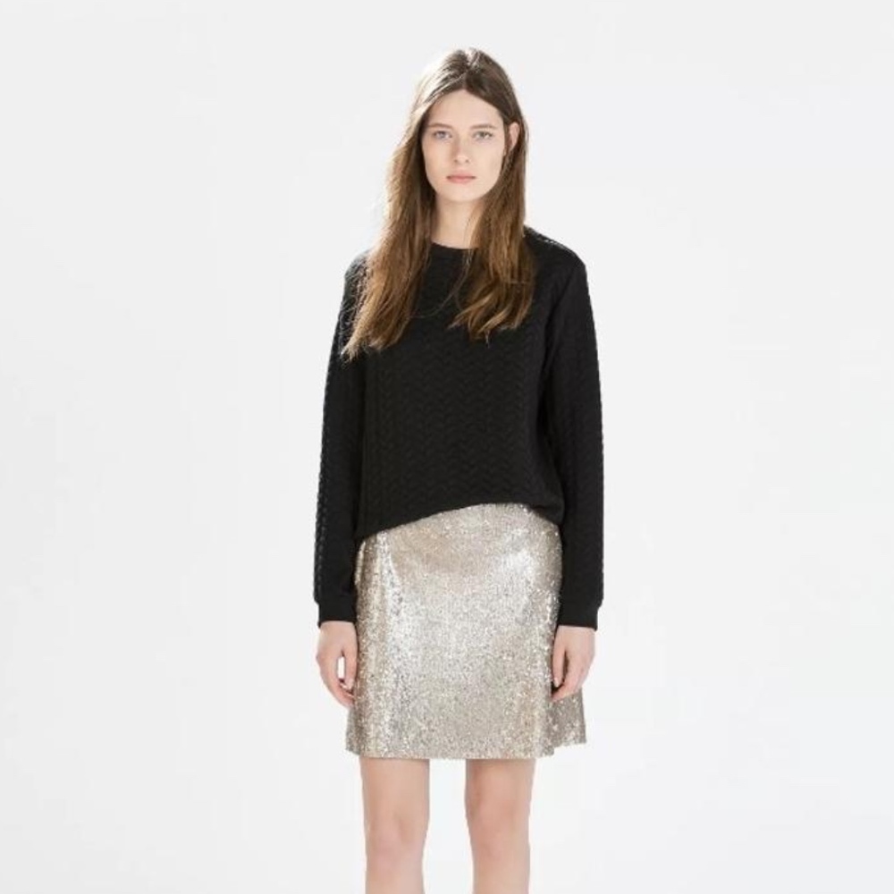 Zara silver/beige sequin skirt - BRAND NEW